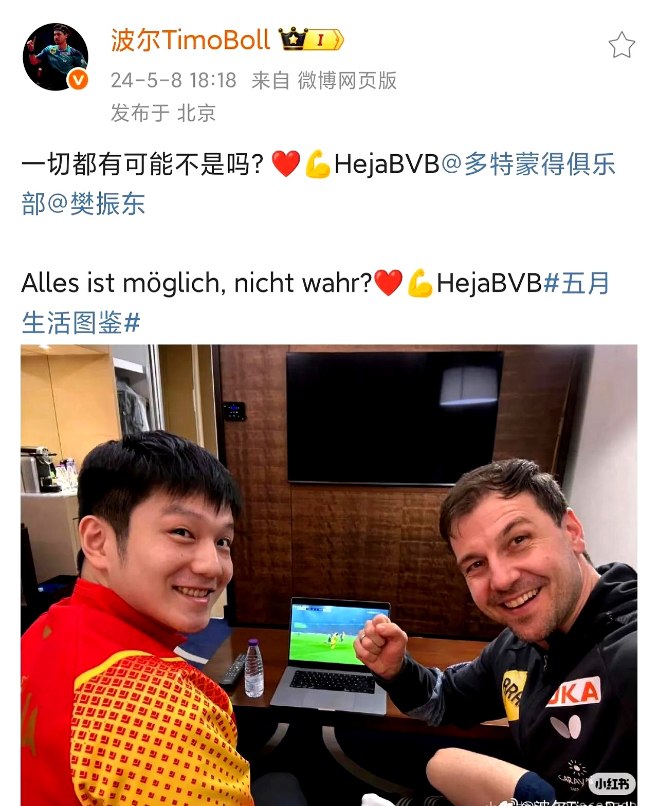 包含德国乒乓球队逆转韩国乒乓球队，波尔高光表现的词条