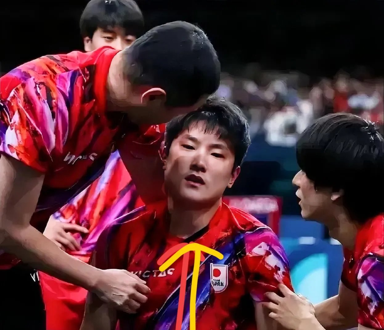 包含日本乒乓球队轻取英国乒乓球队，张本智和送出助攻的词条