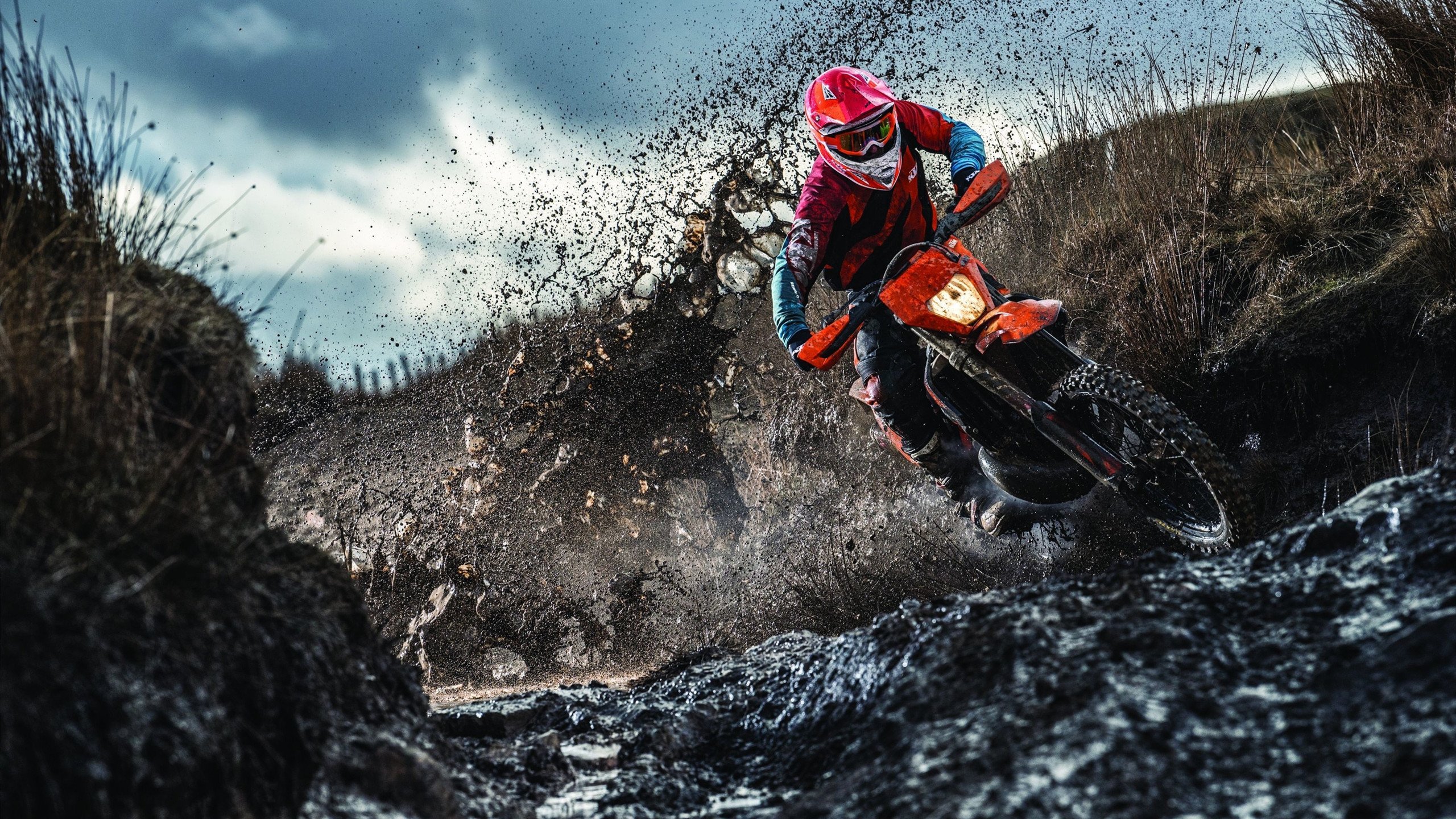 伦纳德主宰命运之战,黄蜂强行终结骑士,唯一性瞬间铸就经典